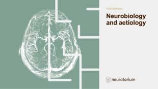 Schizophrenia – Neurobiology and Aetiology – slide 1
